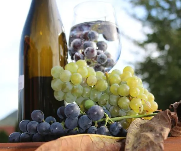 Naposoldal Vendeghaz 公寓 *